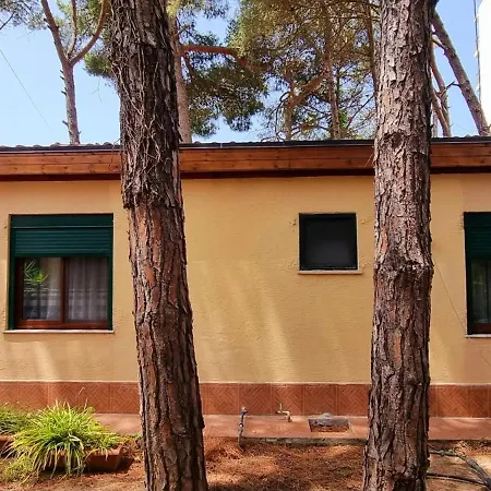 Bezhani Standard * Golem (Tirana)