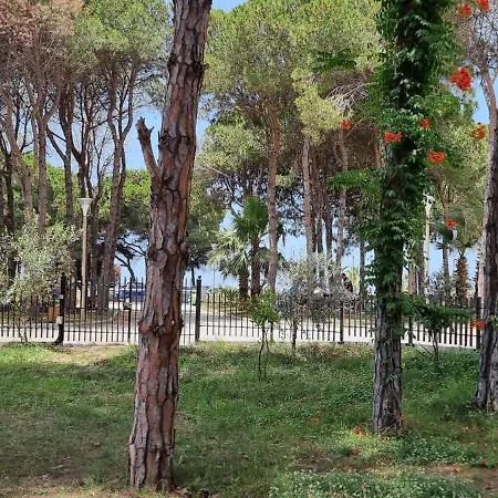 Bezhani Standard Golem (Tirana)