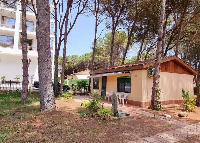 Bezhani Standard Βίλα *