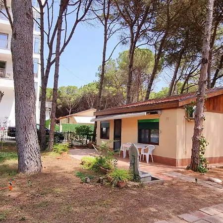 Bezhani Standard Villa *