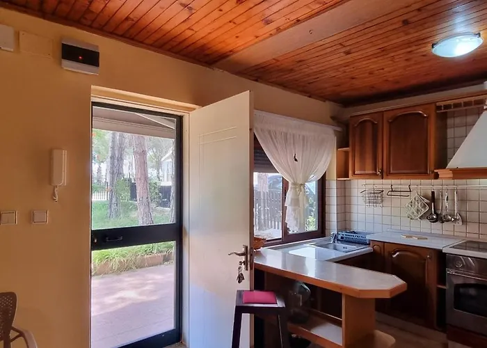 Bezhani Standard 别墅