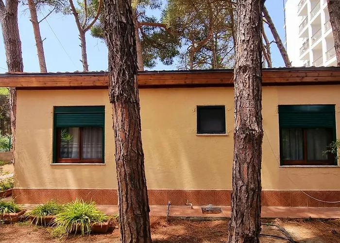 Bezhani Standard * Golem (Tirana)