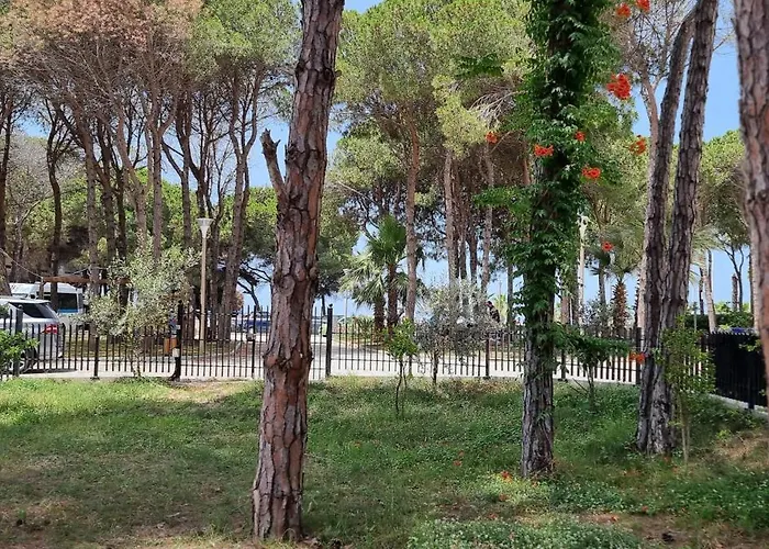 Bezhani Standard Golem (Tirana)