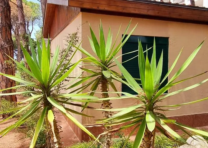 别墅 Bezhani Standard *